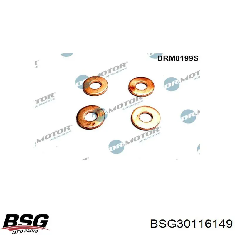 Compre BSG30116149 BSG Anel (arruela) do injetor de ajuste