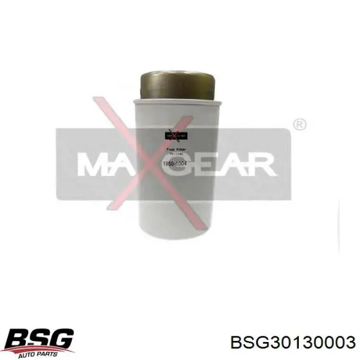 Compre BSG30130003 BSG Filtro de combustível