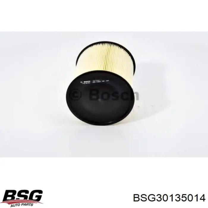 Compre BSG30135014 BSG Filtro de ar