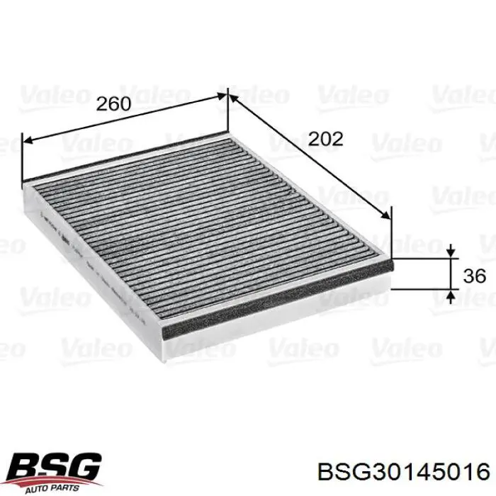 Compre BSG30145016 BSG Filtro de salão
