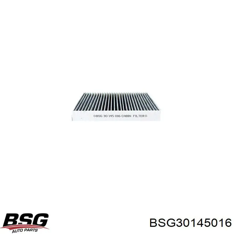 Filtro de salão BSG BSG30145016 preço, a partir de 9,04 USD
