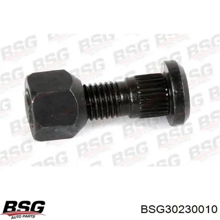 Compre 30230013 BSG Prego de roda traseiro
