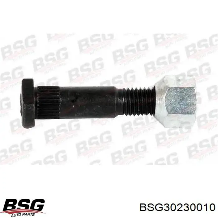 Compre BSG30230010 BSG Prego de roda traseiro