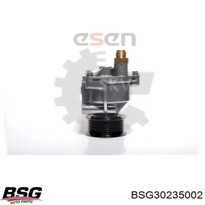 BSG30235002 BSG Bomba a vácuo
