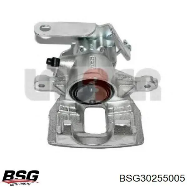 BSG30255005 BSG Braçadeira do freio de suporte traseiro