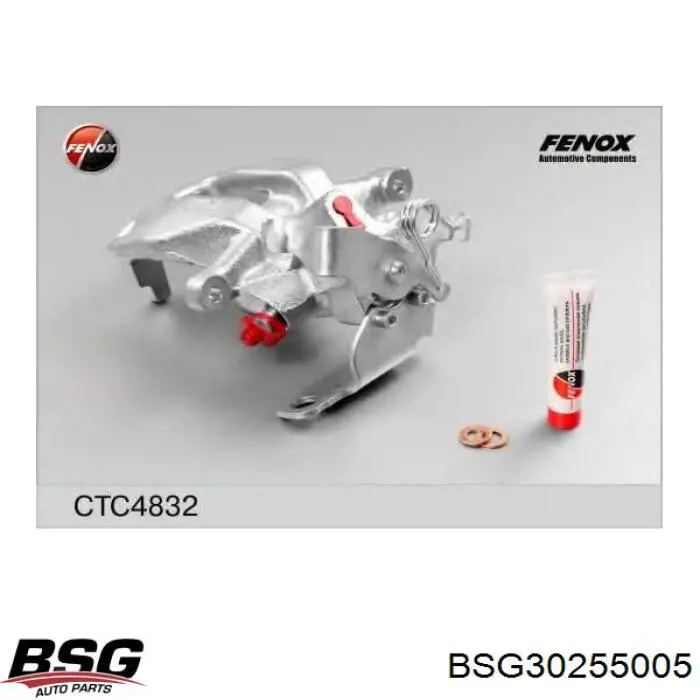 Braçadeira do freio de suporte traseiro BSG BSG30255005 preço, a partir de 46,75 USD