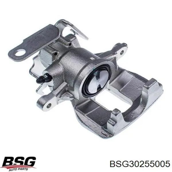 Compre BSG30255005 BSG Braçadeira do freio de suporte traseiro