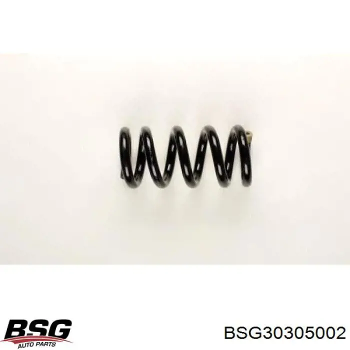 Compre BSG30305002 BSG Mola dianteira