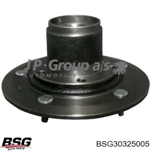 BSG30325005 BSG Cubo dianteiro