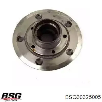 Compre BSG30325005 BSG Cubo dianteiro