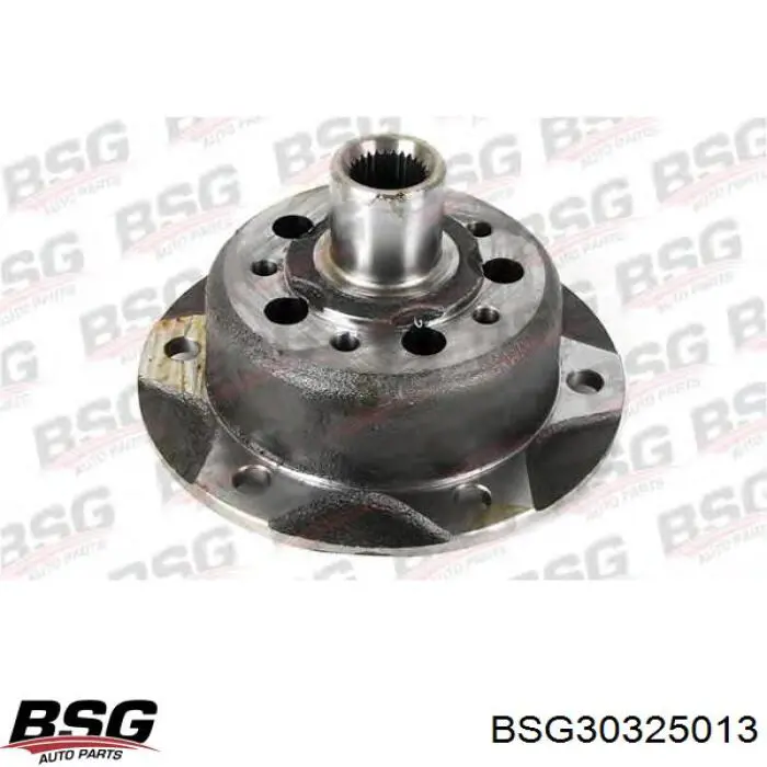 30325013 BSG Cubo dianteiro