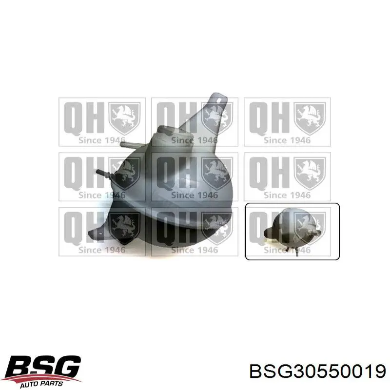 Tanque de expansão do sistema de esfriamento Metalcaucho 15163 preço, a partir de 19,17 USD