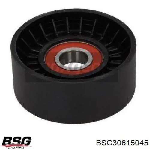 BSG30615045 BSG Rolo parasita da correia de transmissão