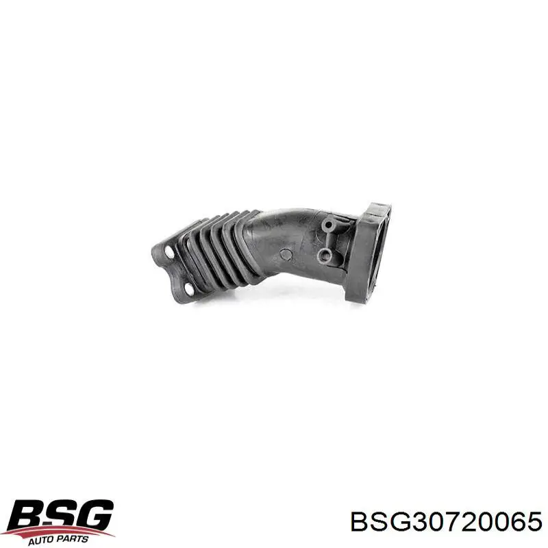 Compre BSG30720065 BSG Cano derivado de ar, da válvula de borboleta