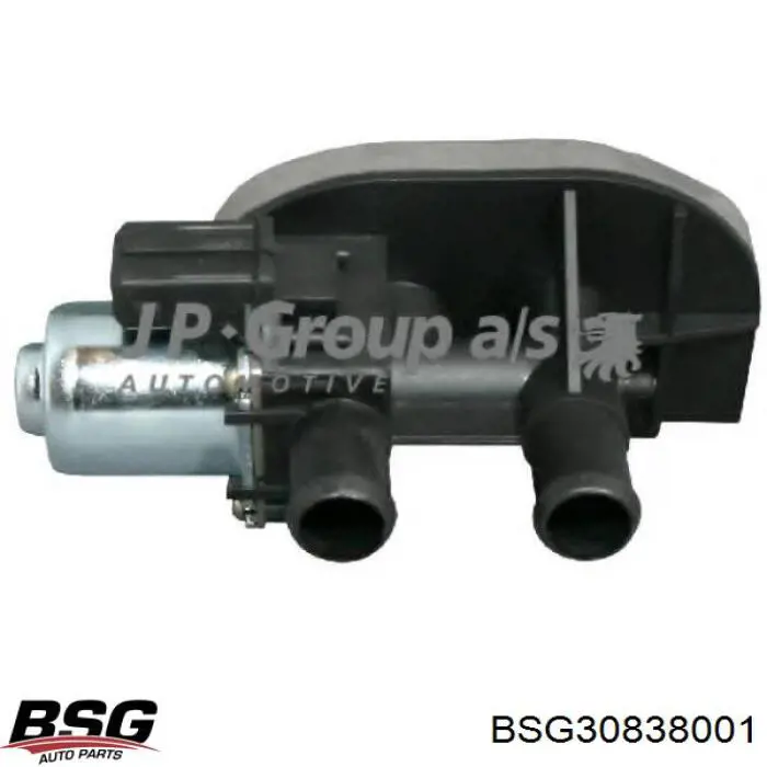 Compre BSG30838001 BSG Válvula de forno (de aquecedor)