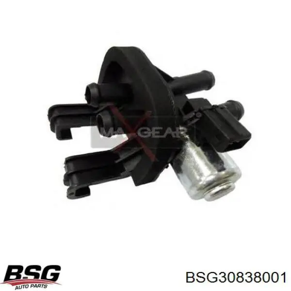 Compre BSG30838001 BSG Válvula de forno (de aquecedor)