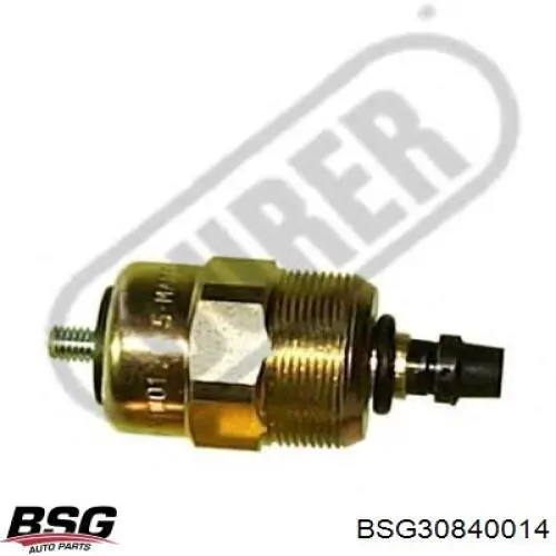 Compre BSG30840014 BSG Válvula da Bomba de Combustível de Pressão Alta de corte de combustível (diesel-stop)