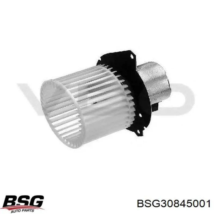Compre BSG30845001 BSG Motor de ventilador de forno (de aquecedor de salão)