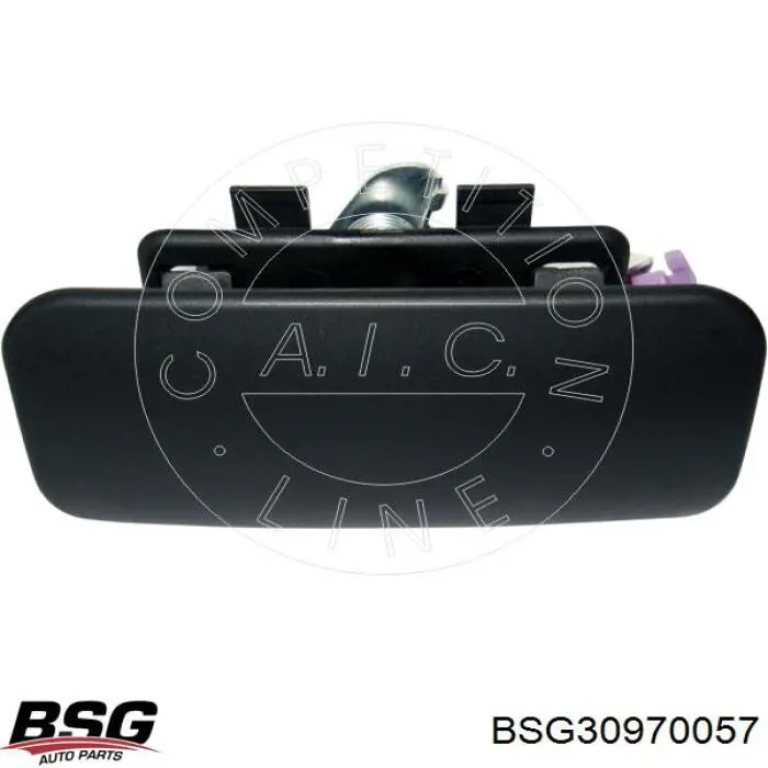 BSG30970057 BSG Maçaneta externa direita da porta lateral (deslizante)