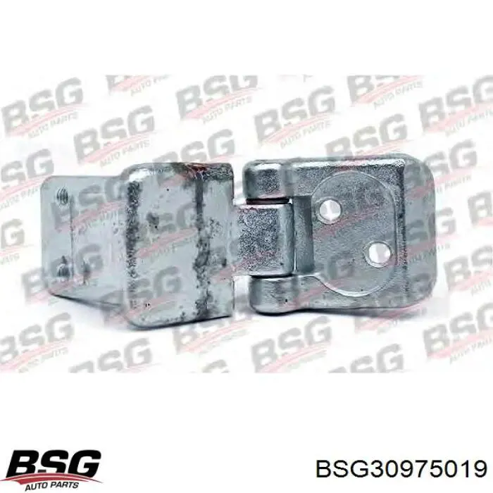 Gozno direito superior da porta traseira (batente) BSG BSG30975019 preço, a partir de 35,63 USD