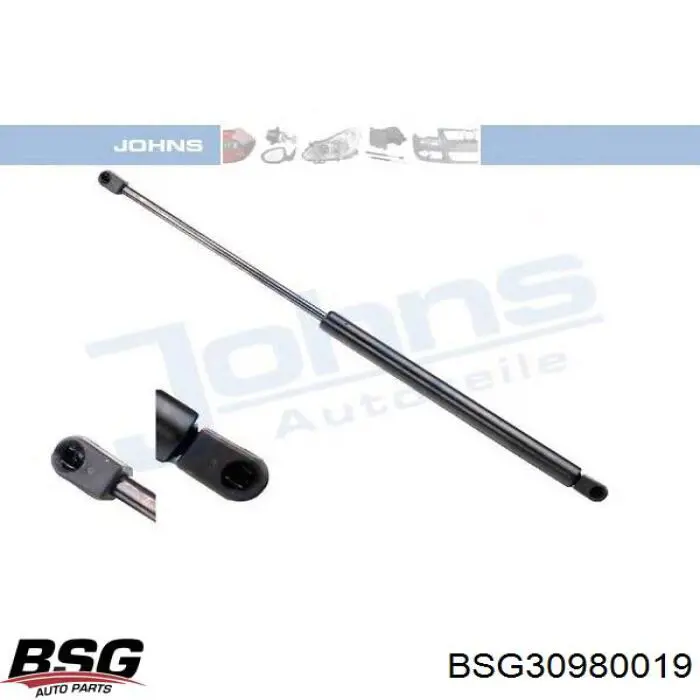 Compre BSG30980019 BSG Amortecedor de tampa de porta-malas (de 3ª/5ª porta traseira)