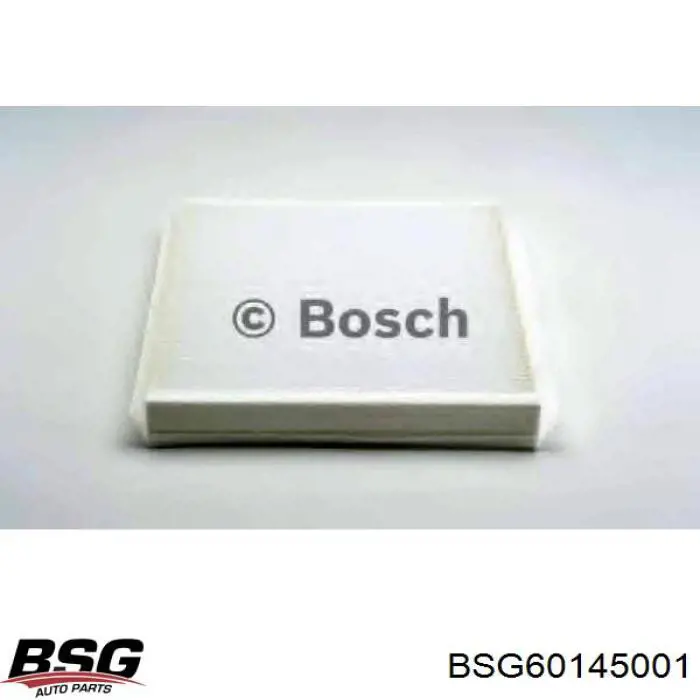 Compre BSG60145001 BSG Filtro de salão
