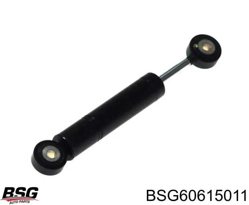 BSG60615011 BSG Amortecedor de reguladora de tensão da correia de transmissão