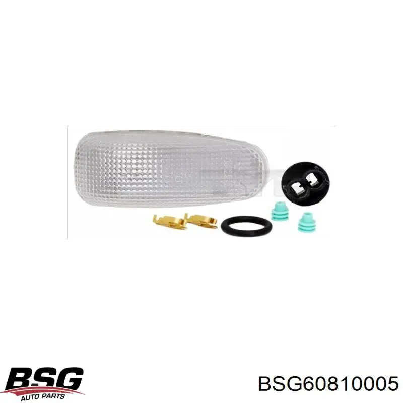Compre BSG60810005 BSG Luz intermitente no pára-lama