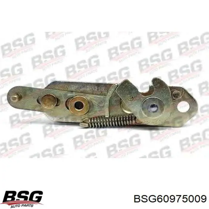 Compre BSG60975009 BSG Fecho da porta dianteira esquerda