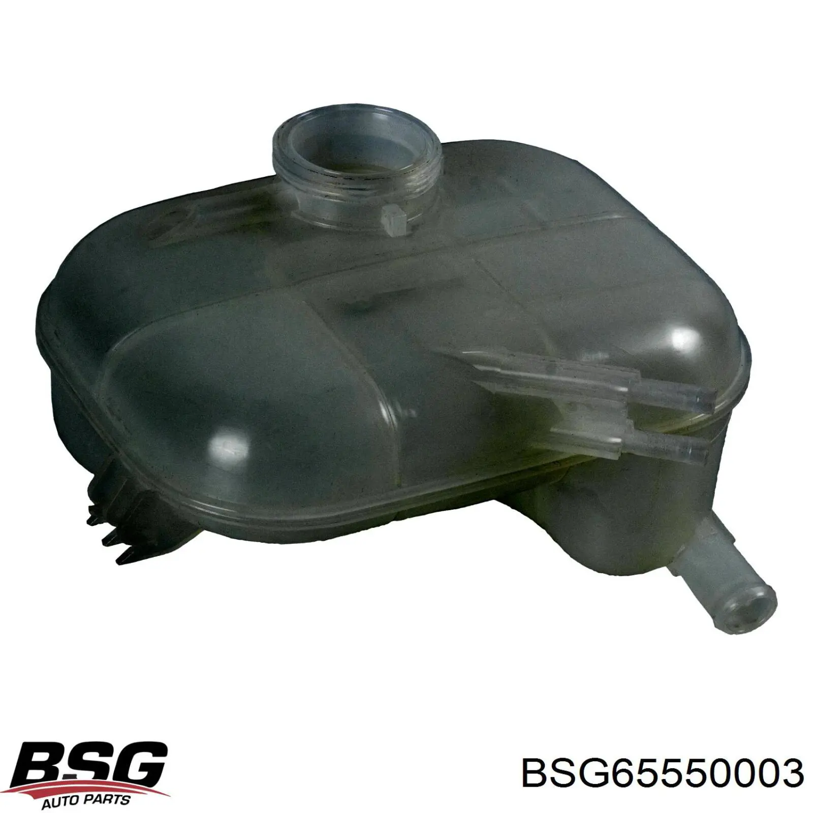Compre 5509ZB1 Polcar Tanque de expansão do sistema de esfriamento