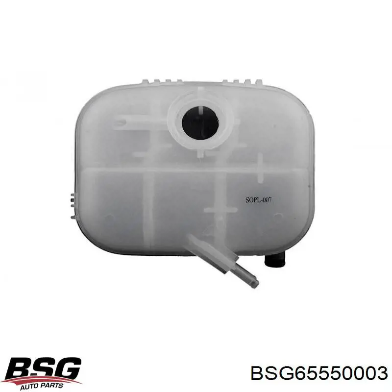 Tanque de expansão do sistema de esfriamento 5509ZB1 Polcar