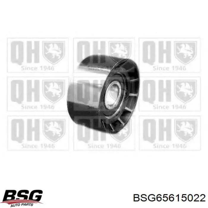 Compre BSG65615022 BSG Rolo parasita da correia de transmissão