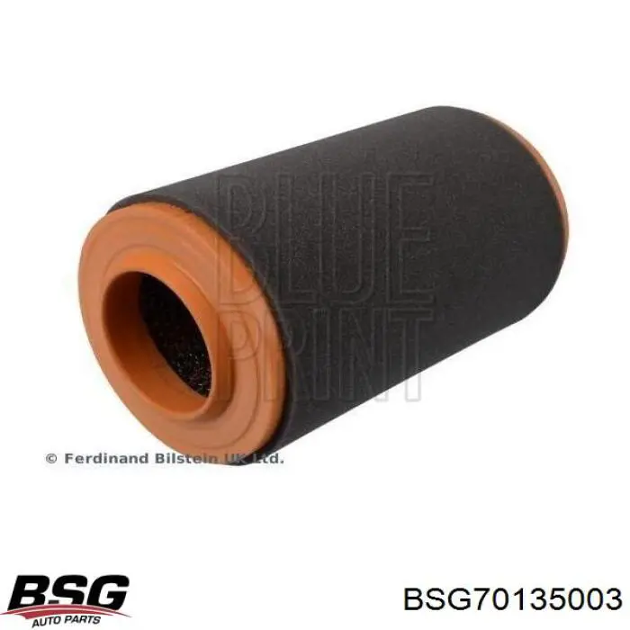 Compre BSG70135003 BSG Filtro de ar
