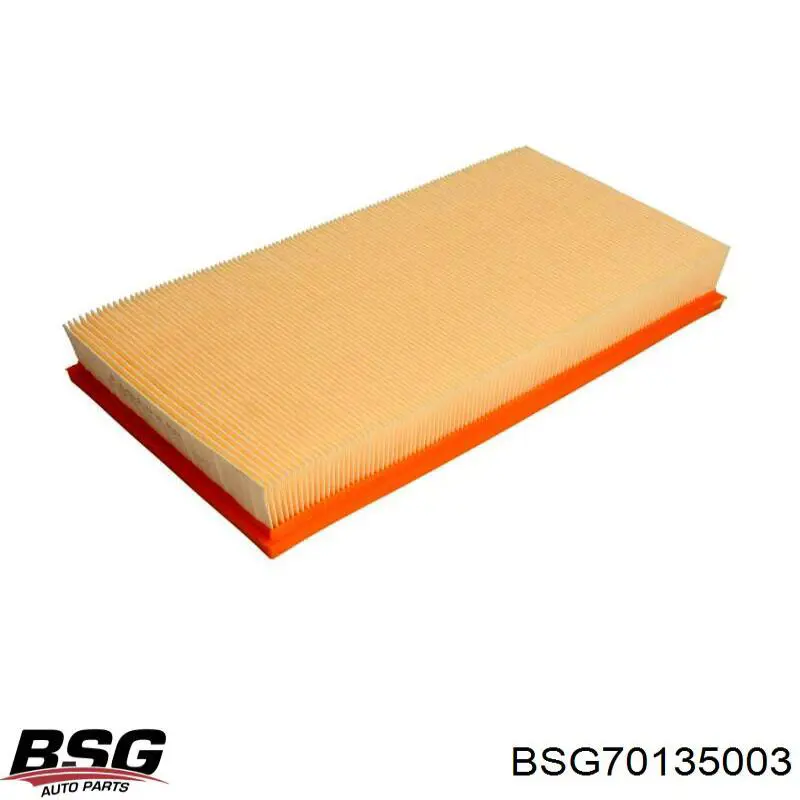 BSG70135003 BSG Filtro de ar