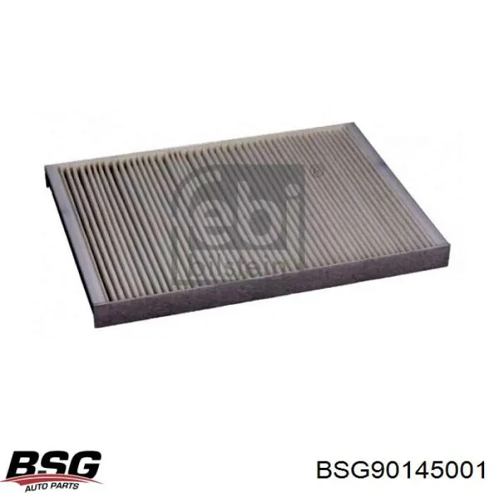 BSG90145001 BSG Filtro de salão