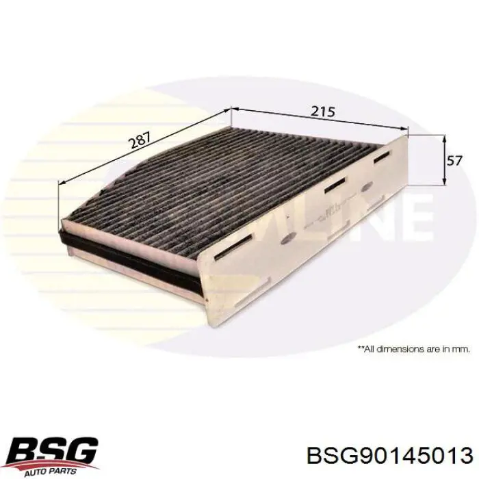 Compre BSG90145013 BSG Filtro de salão