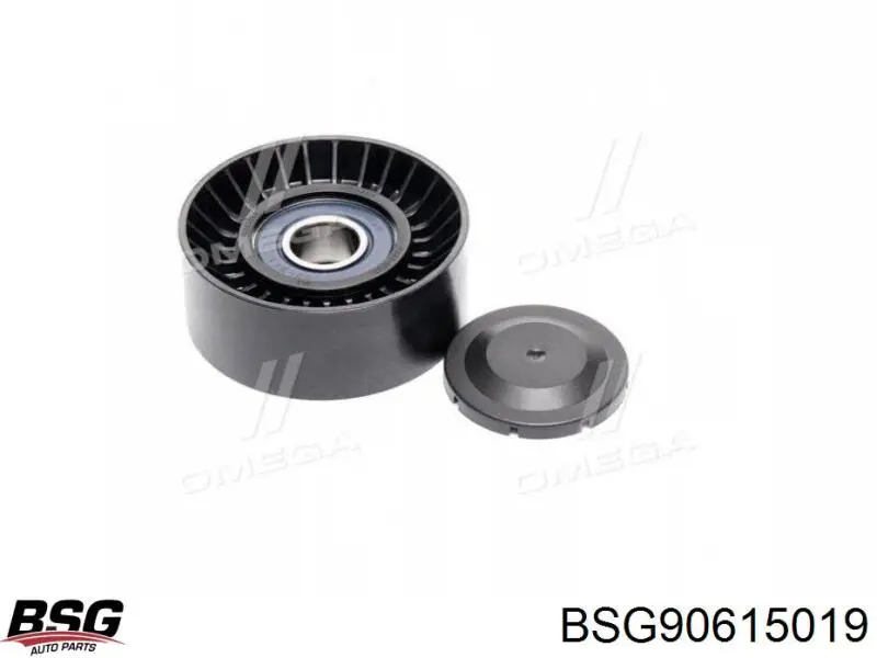 Compre BSG90615019 BSG Rolo parasita da correia de transmissão