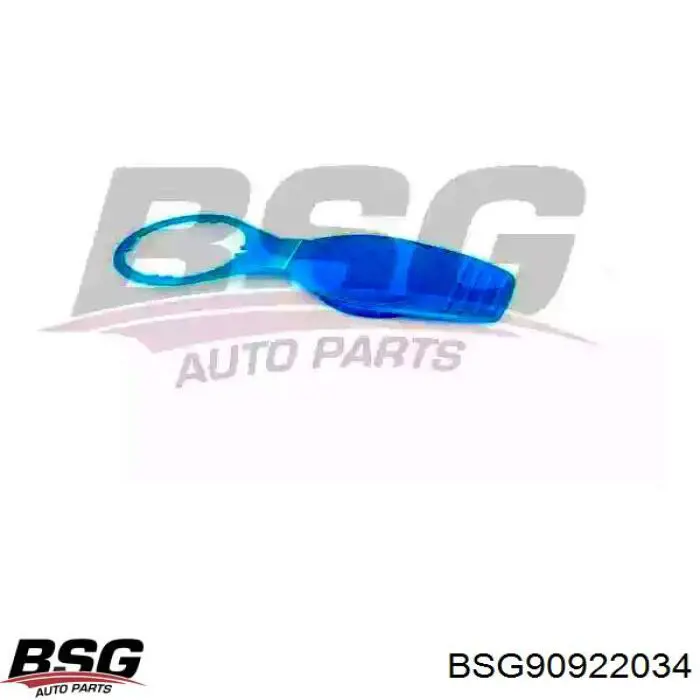 Tampa de tanque de fluido para lavador BSG BSG90922034 preço, a partir de 4,27 USD