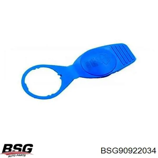 Compre BSG90922034 BSG Tampa de tanque de fluido para lavador