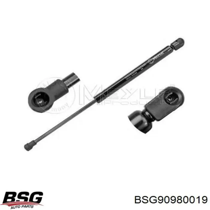 Compre BSG90980019 BSG Amortecedor da capota