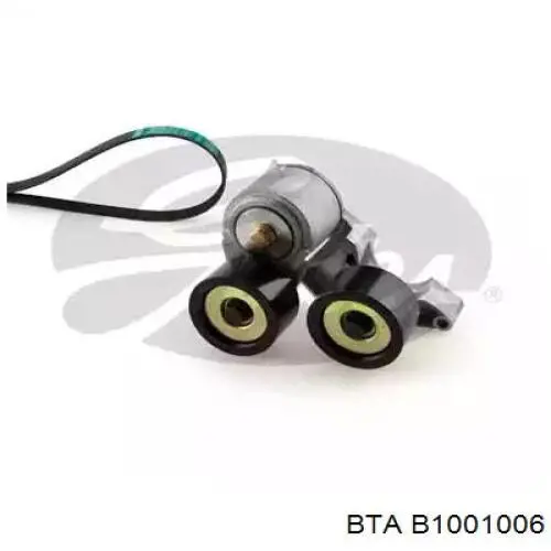Correia do mecanismo de distribuição de gás, kit para DAF 105 XF 