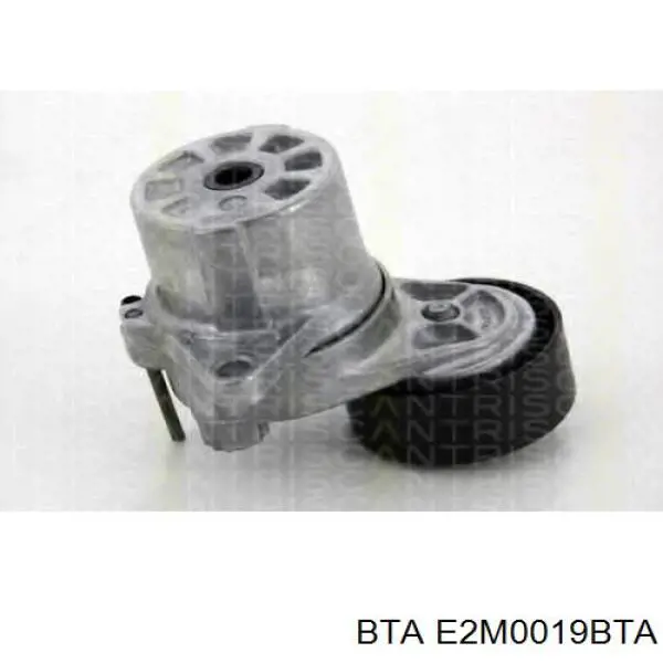 Rolo de reguladora de tensão da correia de transmissão BTA E2M0019BTA preço, a partir de 21,38 USD