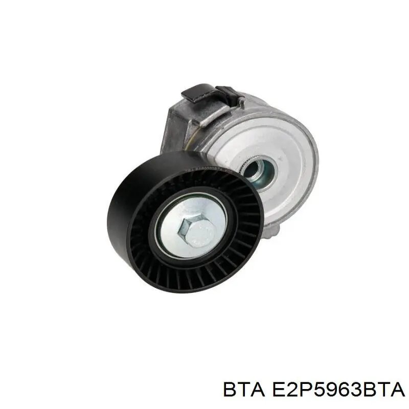 Rolo de reguladora de tensão da correia de transmissão BTA E2P5963BTA preço, a partir de 16,84 USD