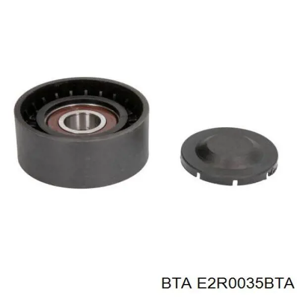 Rolo de reguladora de tensão da correia de transmissão BTA E2R0035BTA preço, a partir de 19,15 USD