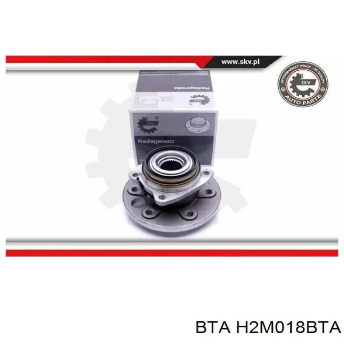 Compre H2M018BTA BTA Cubo traseiro