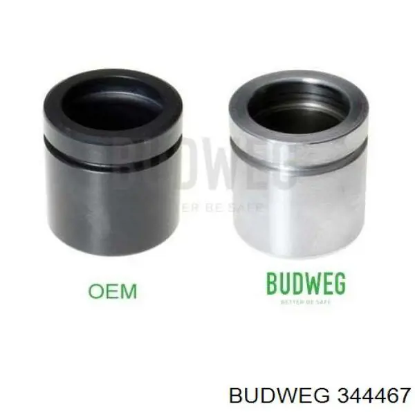 Compre 344467 Budweg Suporte do freio traseiro direito