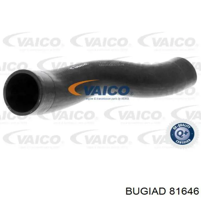 81646 Bugiad Mangueira (cano derivado) de intercooler