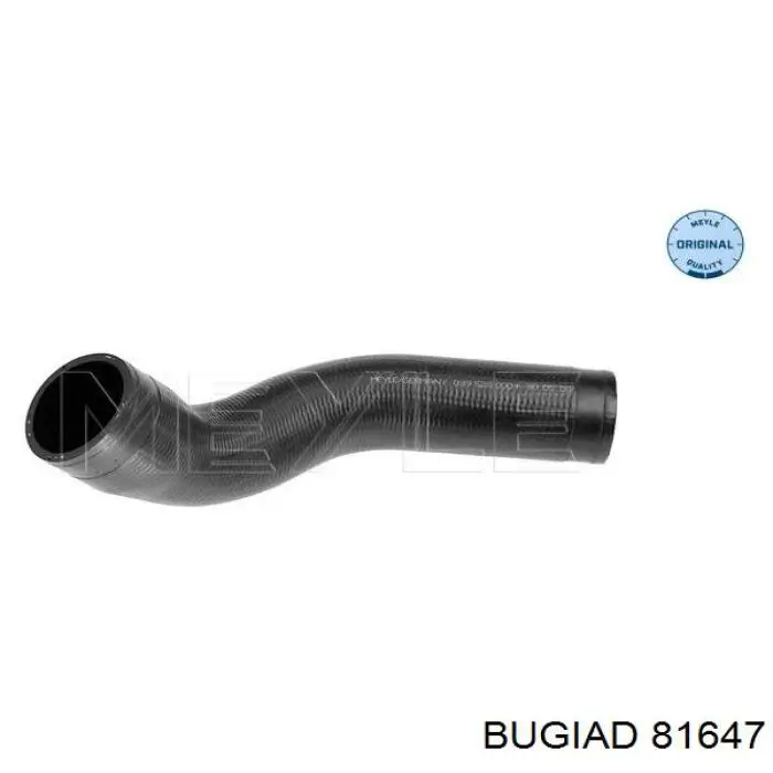 Compre 81647 Bugiad Mangueira (cano derivado) inferior do radiador de esfriamento