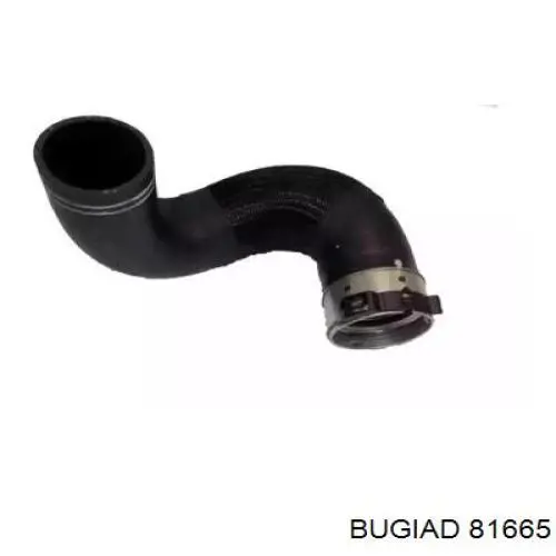 Mangueira (cano derivado) de intercooler Cautex 016787 preço, a partir de 53,63 USD