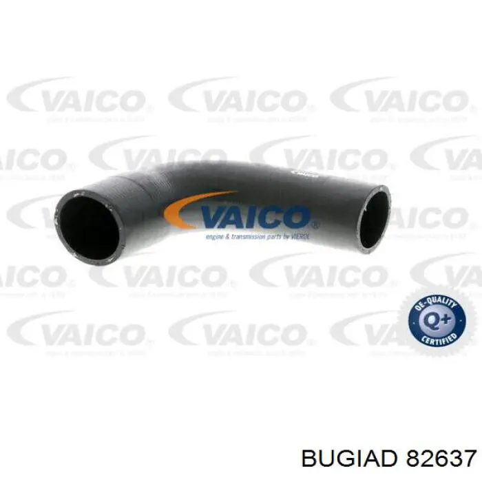 Compre 82637 Bugiad Mangueira (cano derivado) de intercooler
